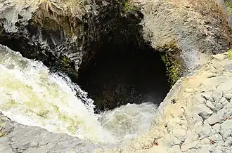 The cooking pot