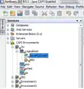 Java CAPS environments in NetBeans Services includes Logical Host and other components
