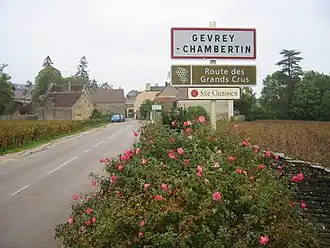The road into Gevrey-Chambertin
