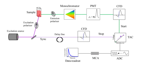 Schematic of a TCSPC setup
